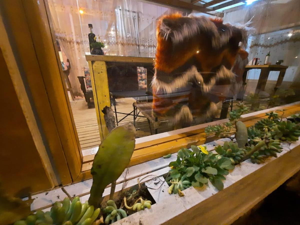 Pousada Vitrine Cambará Εξωτερικό φωτογραφία
